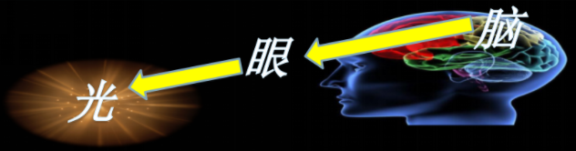 多維視覺訓練