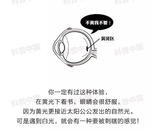 驗光師培訓科普：護眼燈真的能保護眼睛嗎？