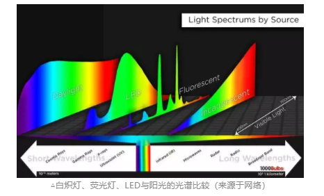 探討青少年近視與電子屏幕關系，近視關聯強因素詳細分析