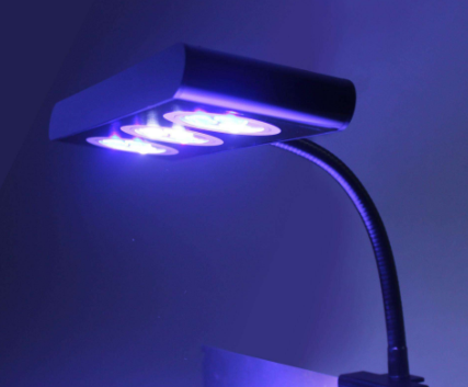 【眼視光觀點】LED燈到底該如何使用？藍光對眼睛有害嗎？